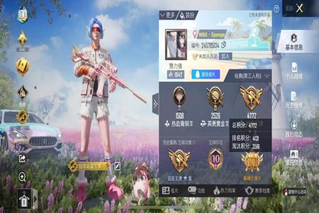 和平精英辅助怎么弄ios（和平精英怎么开挂ios）